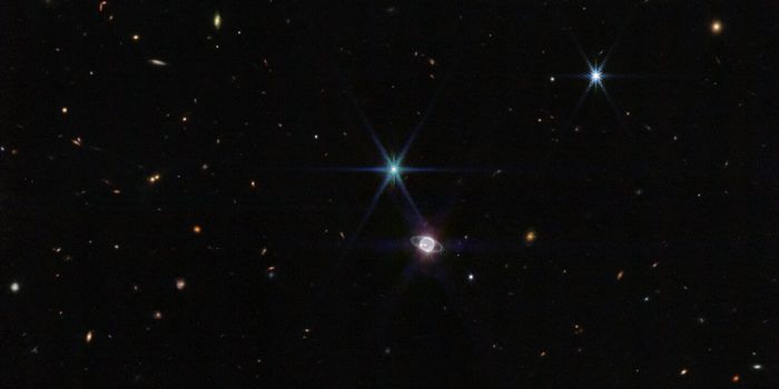 The James Webb Space Telescope Observes Neptune and its Rings