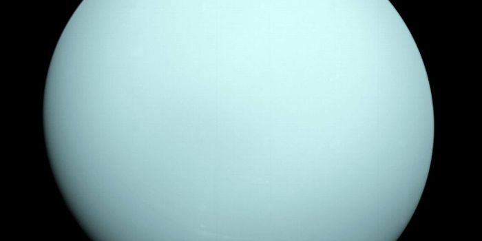 Are Some of Uranus' Moons Set to Collide With One Another?