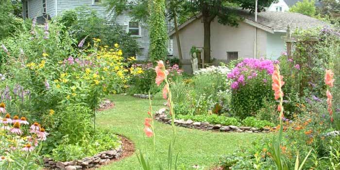 Want to save the bees? Stop cutting your lawn