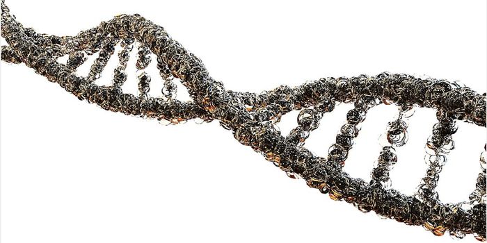 CRISPR Advances Make the Gene Editor Specific to Tissues & Times