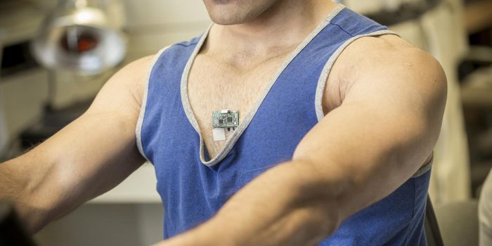 Hybrid Biosensor Monitors Electrical And Chemical Signals Simultaneously