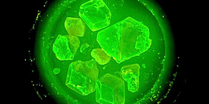 Organic-Inorganic Materials Used to Improve Imaging Technologies