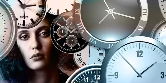 A Person's Internal Clock is Revealed in Hair Roots