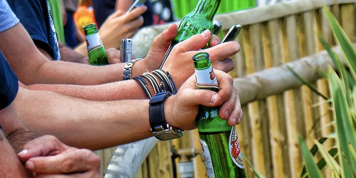 Fetal Development Is Impacted by Paternal Alcohol Use