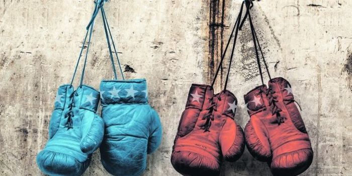 Vanderbilt Chemists Organize a Microbial Fight Club