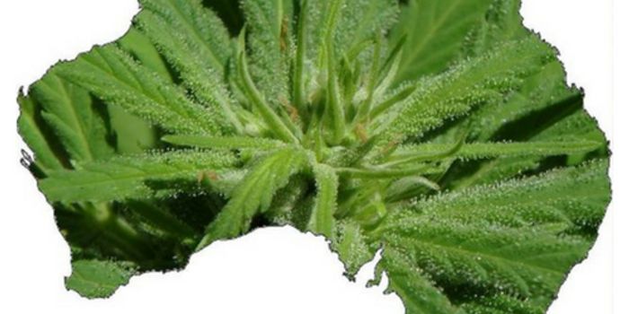 Medical Cannabis Down Under!