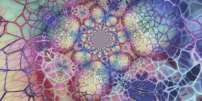 Deciphering The Social Networks of Proteins