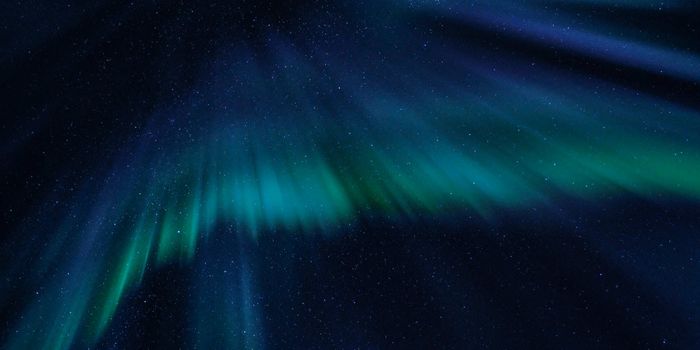 Study Examines PTSD Patients' Fear Memory Processing During REM Sleep