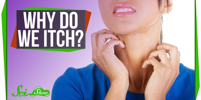 Scratch that! Why do we itch?