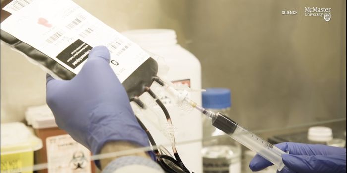 Using Modified Red Blood Cells As a Drug Delivery System