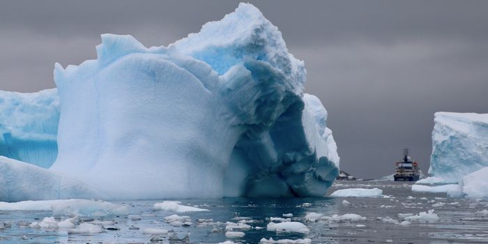 Antarctic Microbes Can Make Proteins That Work Like Antifreeze