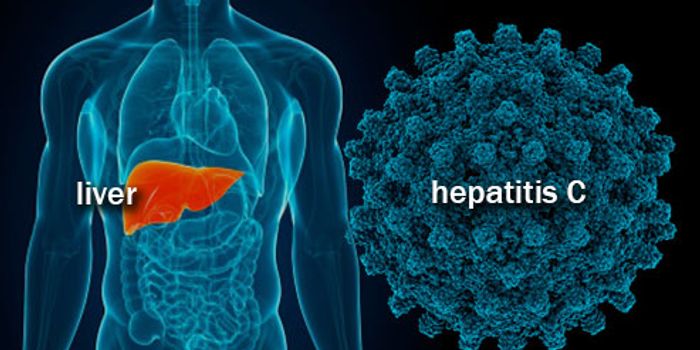 New Two-Drug Combination in Treating Hepatitis C
