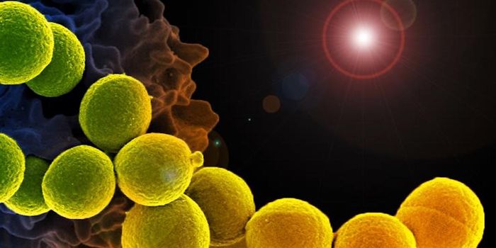 The Mechanism of Lysostaphin, a MRSA-Killing Enzyme, is Revealed