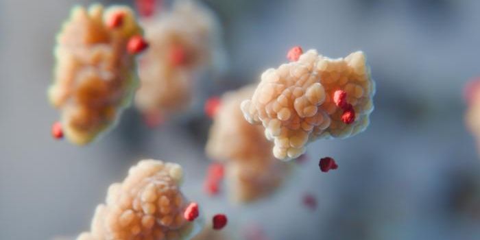 Deciphering the Stabilizing Effect of Amino Acids