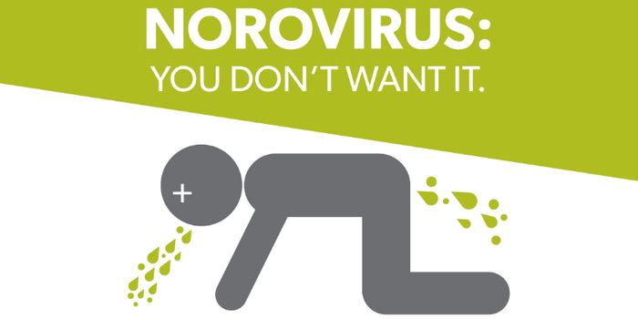 Winter Vomiting Disease