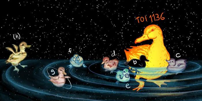 Exploring TOI-1136: Unveiling the Dynamics of a Multi-Planet Solar System