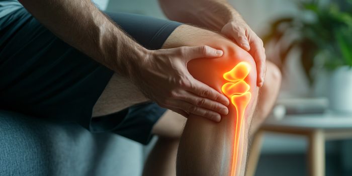 CBD's Effectiveness in Muscle Injury Recovery