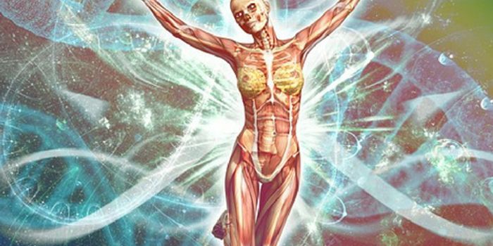 What Happens to Data From At-Home Ancestry DNA Kits?