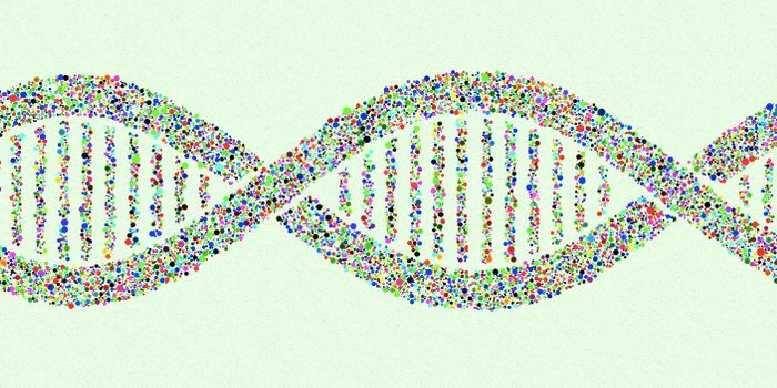Mitochondrial DNA May be Affecting More Traits Than we Knew