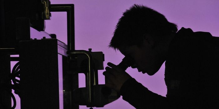 This microscope can see through an intact skull