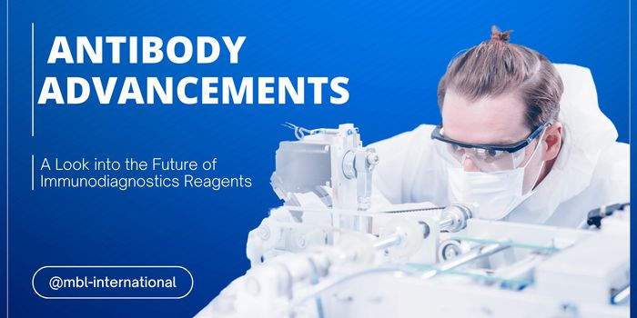 Antibody Advancements: A Look into the Future of Immunodiagnostics Reagents