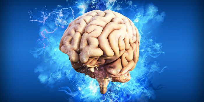 Cerebrospinal Fluid From Young Mice Improved Memory in Old Mice