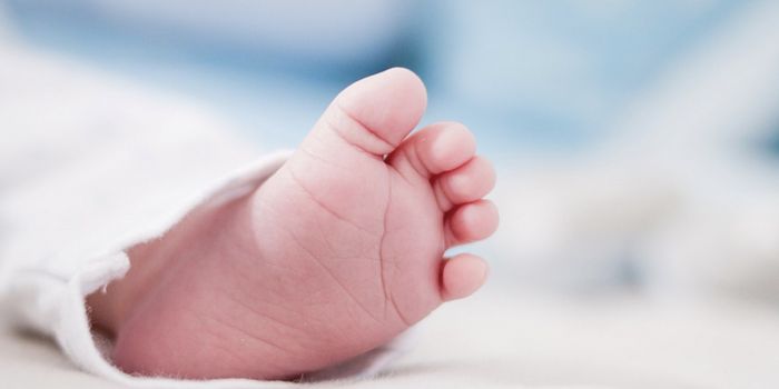 A Treatment Avenue Opens for a Rare Disorder