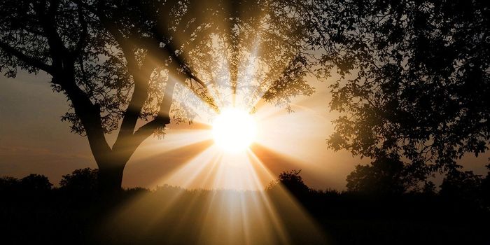 Earth Just Had its Second Warmest March