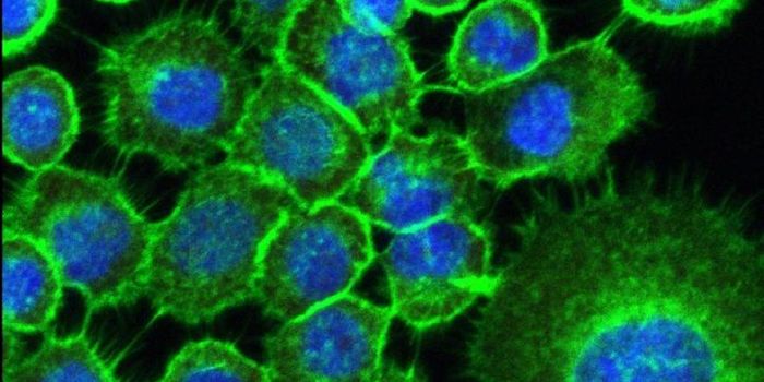 Some Biofilms Seem to Activate Cancer Genes