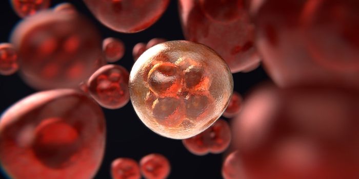 A New Lead in the Treatment of Hepatocellular Carcinomas