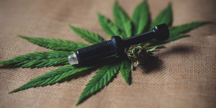New CBD Analog Outperforms Regular CBD for Pain Relief