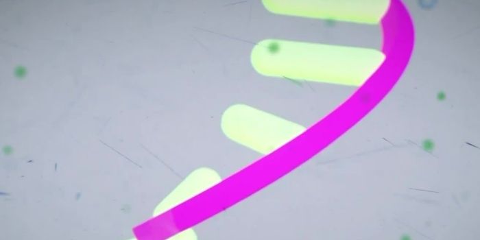 Gene-editing: Don't Try This at Home