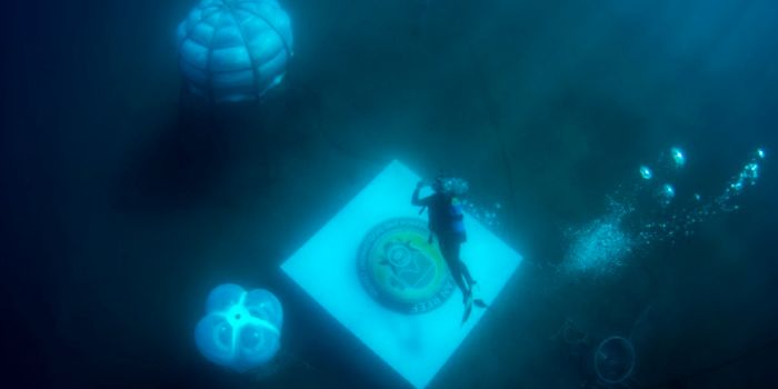 Check Out These Underwater Plant Greenhouses