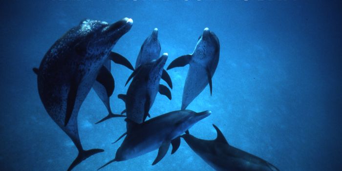 On reflection of World Oceans Day