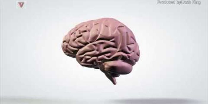 CTE Found in a Living Patient