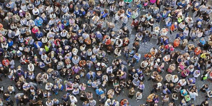 Black Friday: A Shopper's Heaven or Hell?