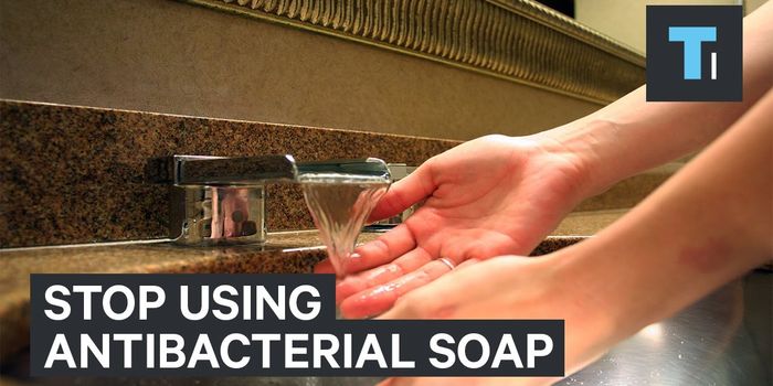 Why Germaphobes Should Forgo Antibacterial Soaps