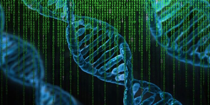 Potential Gene Targets Identified for Treating Deafness