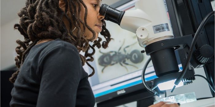 Occasional Use of Antibiotics is a Bigger Problem Than Repeated Use