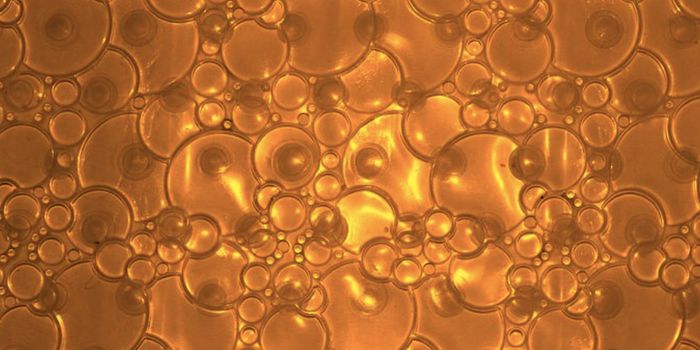 The Anti-Cancer, Copper-Binding Compounds Found in Fish