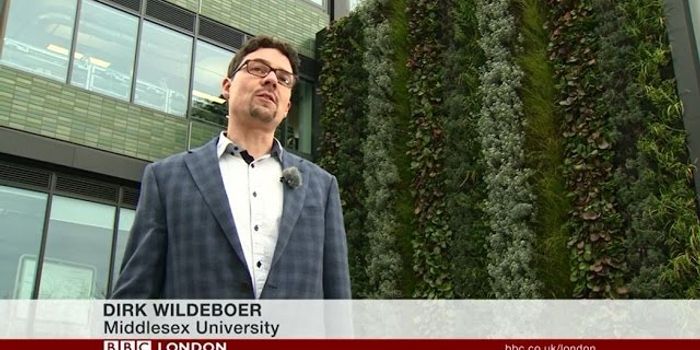 Living Walls to Fight Polllution