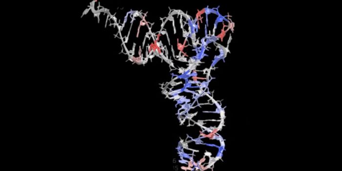 Variations in tRNA Genes are More Common Than Thought