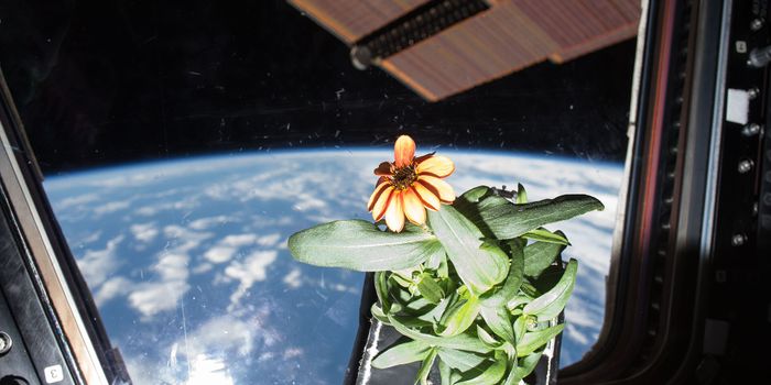 How astronaut waste could feed future colonies in space
