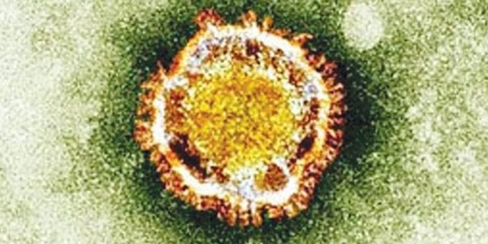 What's the deal with Zika virus?