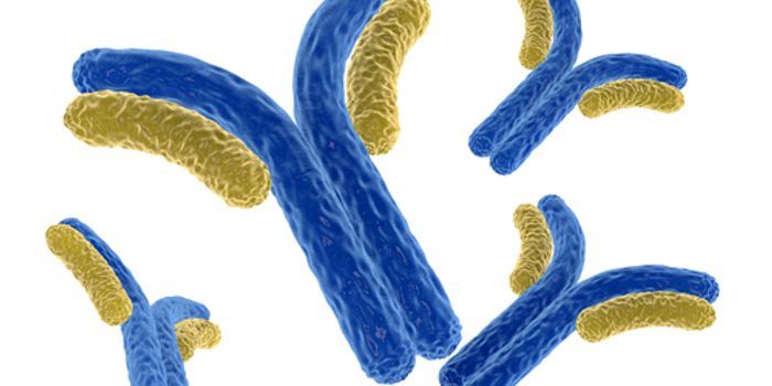 Antibodies Enhance Zika Infection