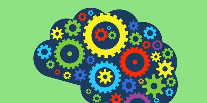 Study Indicates Possible Links between Suicide and Undiagnosed Autism