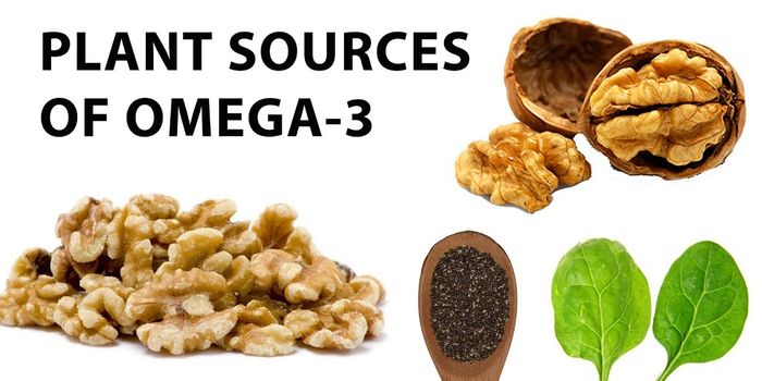 How Sources of Omega-3 Fatty Acids Differ