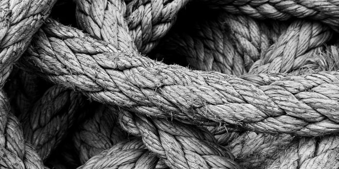 Saving Gray and White Matter in Multiple Sclerosis