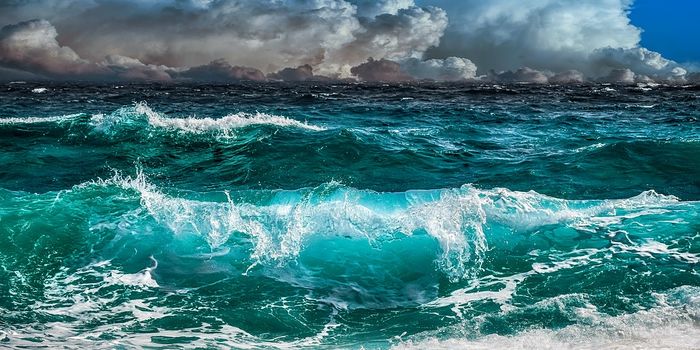 Is more iron a good thing for the oceans even if it comes from coal power plants?