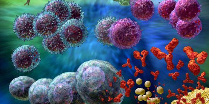 Nivolumab Immunotherapy Successfully Fights Bladder Cancer